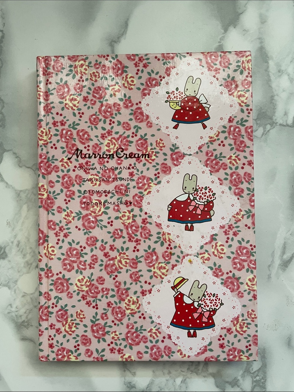 Vintage SANRIO - Marron Cream JOURNAL 1991 - AS IS